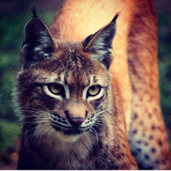 Meet your Posher, Brian - Picture 1 of 1